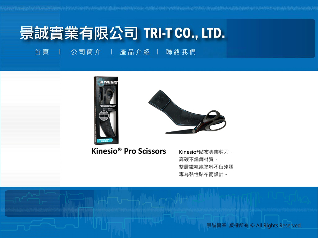 公司簡介
